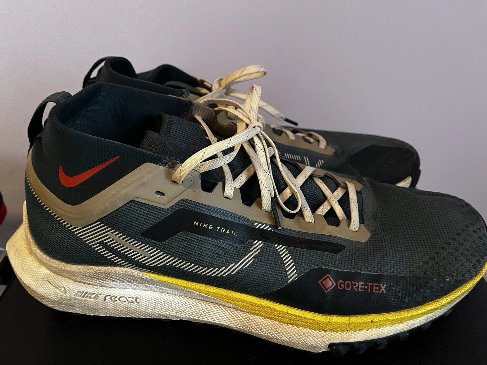 Nike Trail 4 GTX Mens 12.5