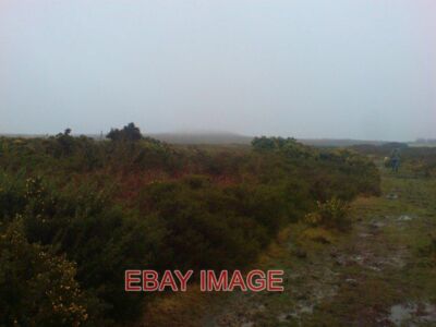 PHOTO  PLUMSTONE MOUNTAIN THROUGH THE MIST  2009