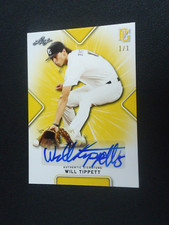 Will Tippett 2021 LEAF PERFECT GAME ALL-AMERICAN BLANK BACK SILVER 1/1 #BAWT1