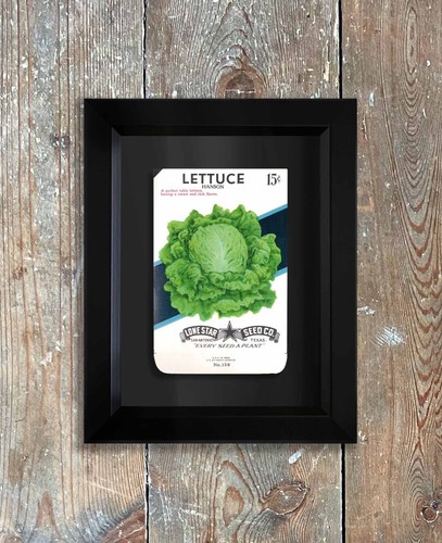 Vintage Unused Seed packets in a hand made framed vegetable Lone Star American - Picture 36 of 95