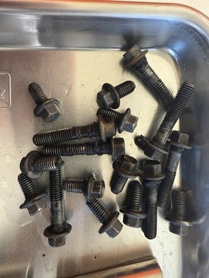 2003-2018  5.9l 6.7L Cummins front timing cover bolts