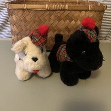 Pair of Westie Dogs Scotland