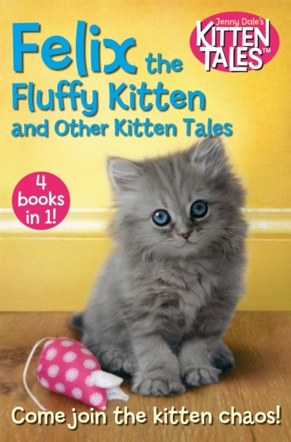 Felix the Fluffy Kitten and Other Kitten Tales by Jenny Dale (Paperback Book)