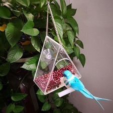Bird Feeding Bowl for Small Birds Hanging Feeder Transparent Garden Decor