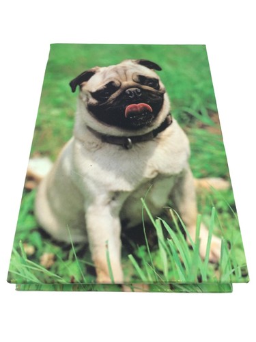 Bolso de mano duro brillante para cachorro perro bloc de notas 12 cm x 8 cm - Imagen 10 de 20