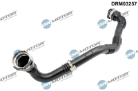 Ladeluftschlauch FüR MERCEDES-BENZ Renault Citan Tourer Mixto