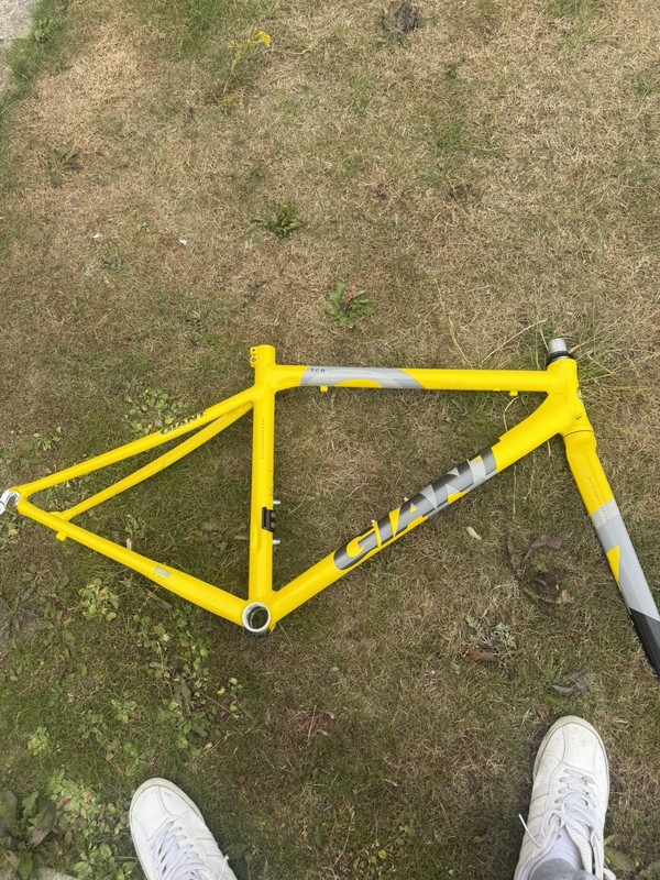 Giant TCR Performance Series Size S Frameset Carbon Forks. FSA H/Set.