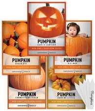 Gardeners Basics, Pumpkin Seeds to Plant - 5 Variety Baby Boo, Giant Big Max, Ja