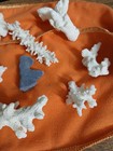 Sea Coral Mix- Aquarium Coral - BLUE & WHITE - Nine In Lot — photo 6