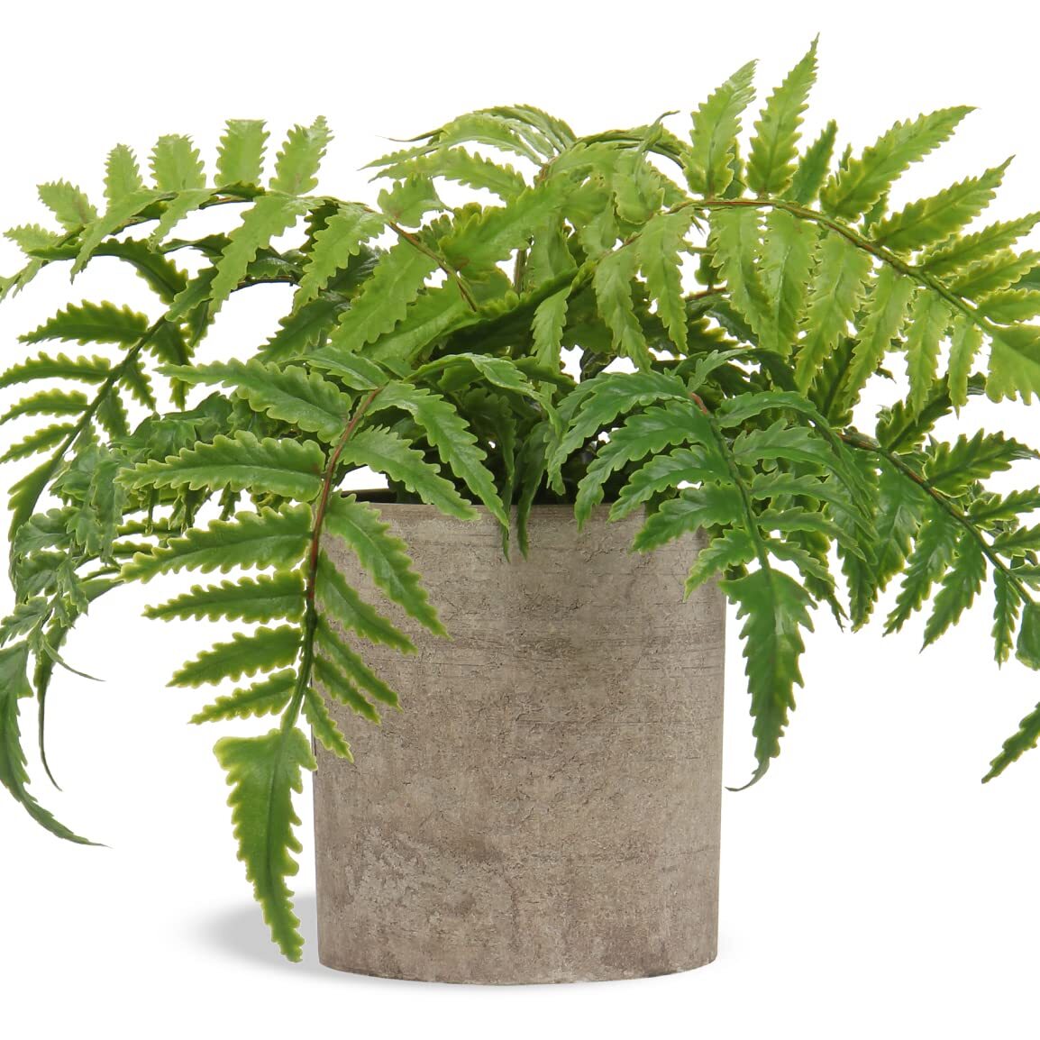 Small Artificial Potted Boston Fern Faux Silk Plant for Home Decor