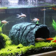 New Best Hide Cave Aquarium Decorations-Premium Resinous Natural Hideout Fit for