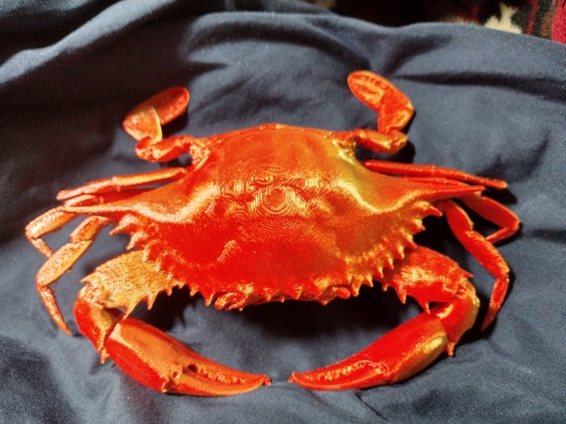 New Full size Orange 3D Printed Female Crab
