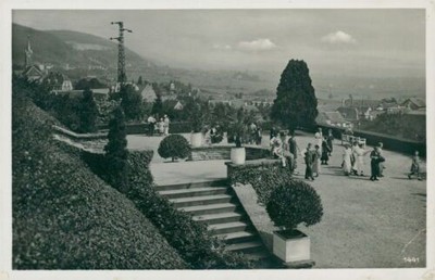 Postcard Neustadt on the wine route terrace Dr. Welsch (no. 9265)
