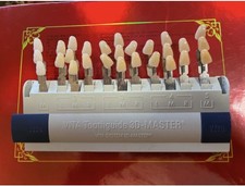 Vita 3-D Master Guida per denti (B360)
