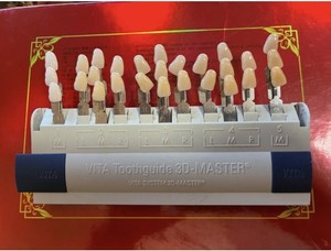 Vita 3-D Master Toothguide  (B360)
