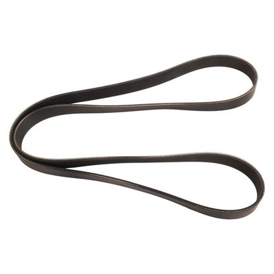 For Freightliner Columbia 01-03 Continental ContiTech 4080845X Serpentine Belt