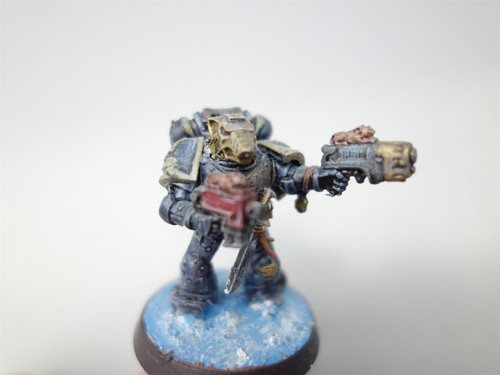 Warhammer 40K Space Wolves - Grey Hunters (painted oop plastic) - Picture 8 of 12