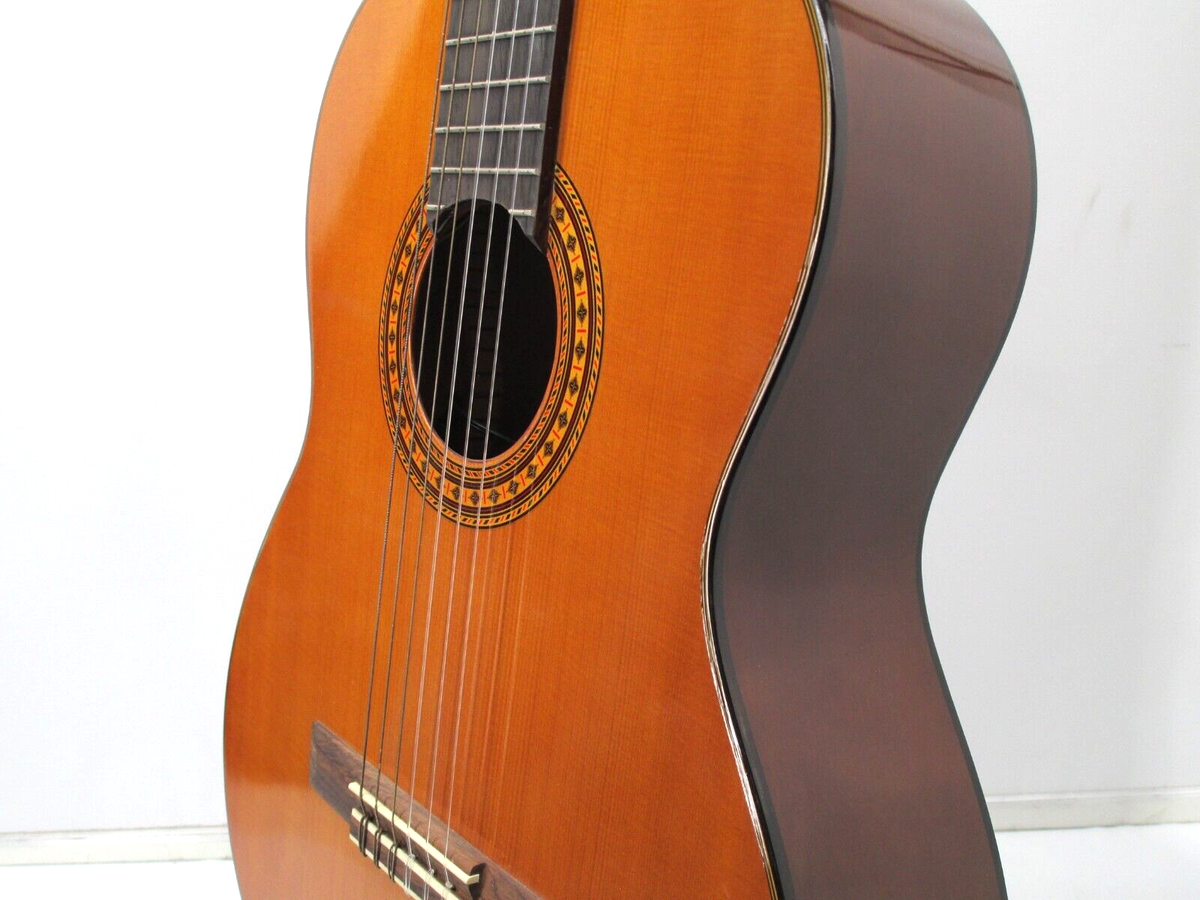 NEW TAKAMINE G SERIES EG116 EG-116 ACOUSTIC ELECTRIC GUITAR | eBay