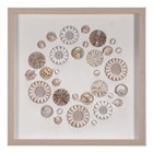 Assorted Natural Shells Shadow Box Wall Décor