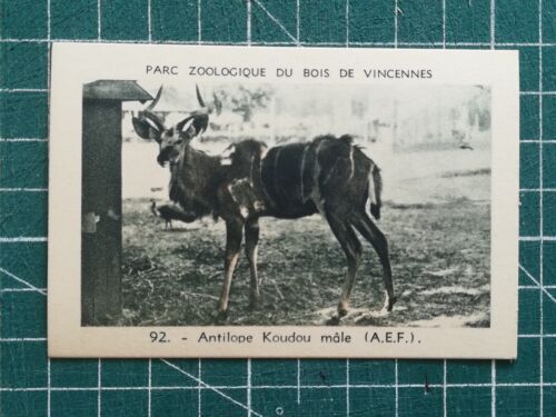 Vr291 chromo parc zoologique de Vincennes Zoo N°92 Antilope Koudou male - Afbeelding 1 van 1