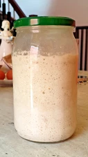 San Francisco TANGY sourdough starter yeast over 220 years old  S.F. DRIED YEAST