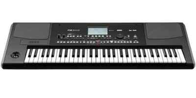 Korg PA300 Key Professional Arranger for sale online | eBay