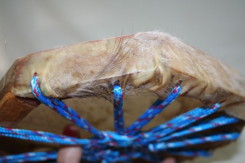 VTG CHEROKEE OCTAGON DRUM PARACORD ANIMAL SKIN FUR NATIVE AMERICAN INDIAN RARE - Picture 9 of 17