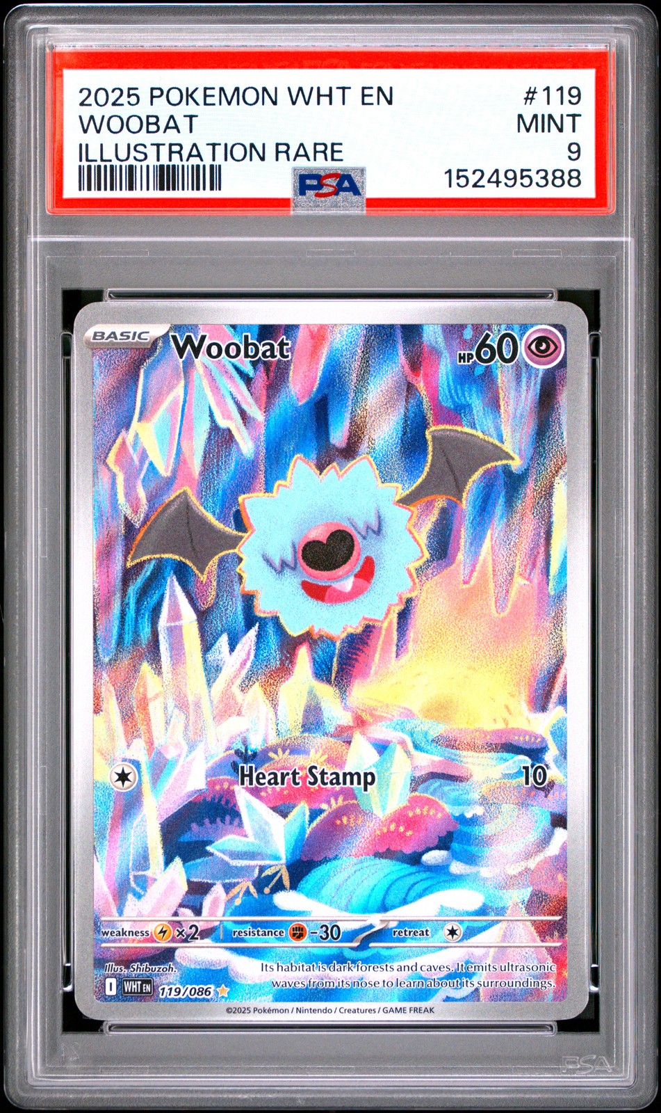 Woobat #119