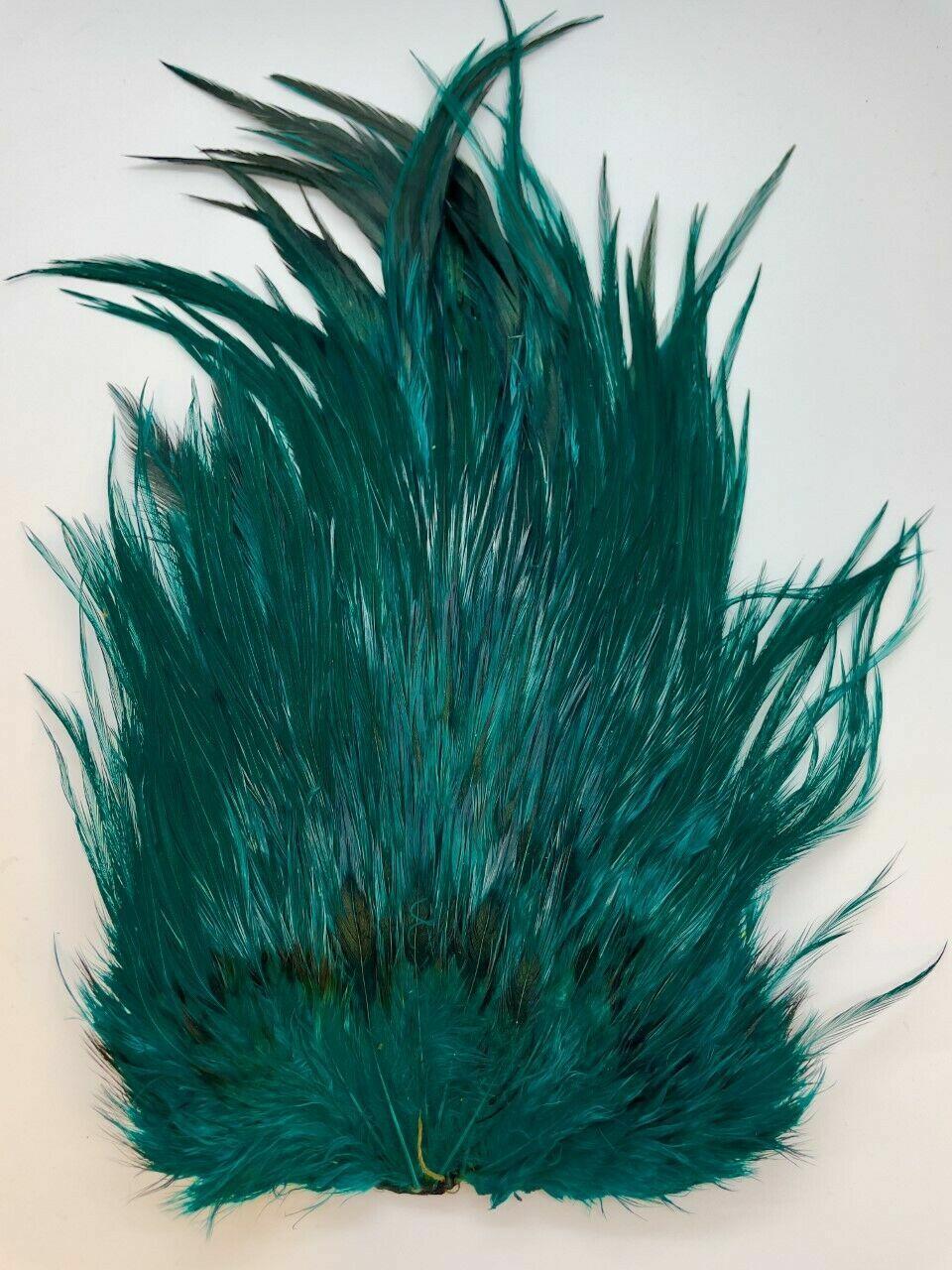 Photo 5/10