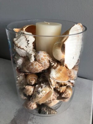 Hurricane Candle Holders Decorative Accessories Gumtree Australia Free Local Classifieds