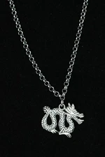 Dragon Necklace Silver Pewter Charm 3/4" Pendant 3mm Stainless Chain 18" Fantasy