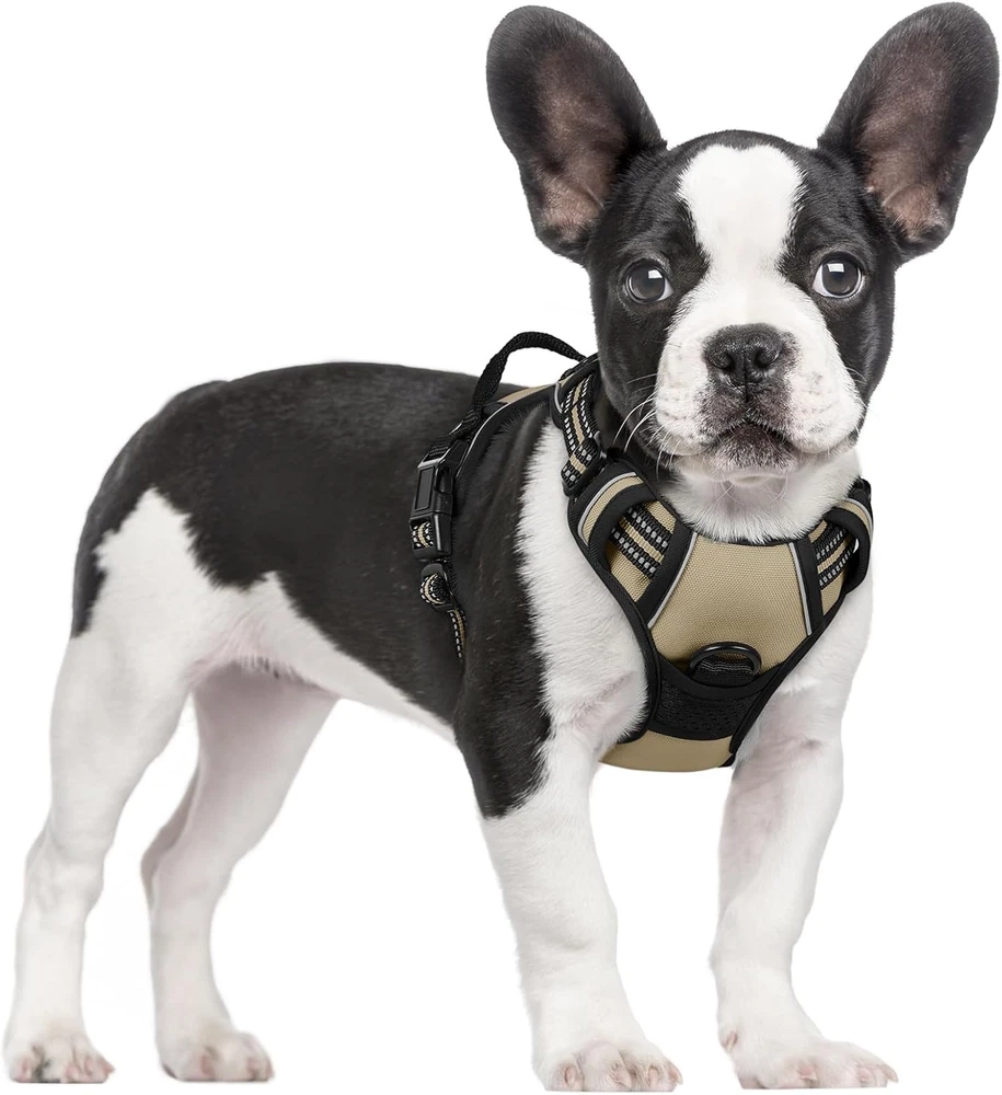 Dog Harness No Pull with 2 Leash Clips, Adjustable Soft Padded, Reflective Oxfor