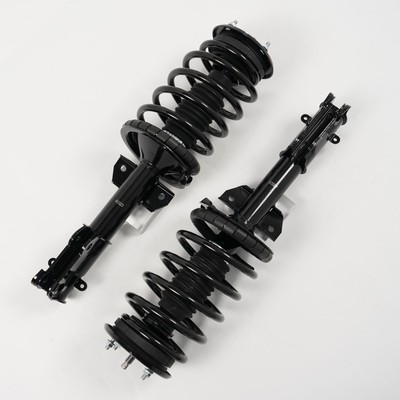 Front Struts with Coil Springs fits 2005 2006 2007 2008 2009 2010 Ford Mustang