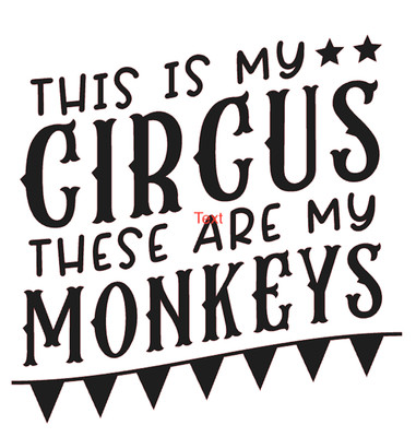 This Is My Circus These Are My Monkeys Vinyl Decal Sticker a4063