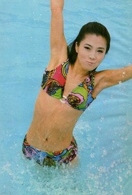 Reiko Oharain The Image 39 Extra Large A4 Laminate Showa Neat    