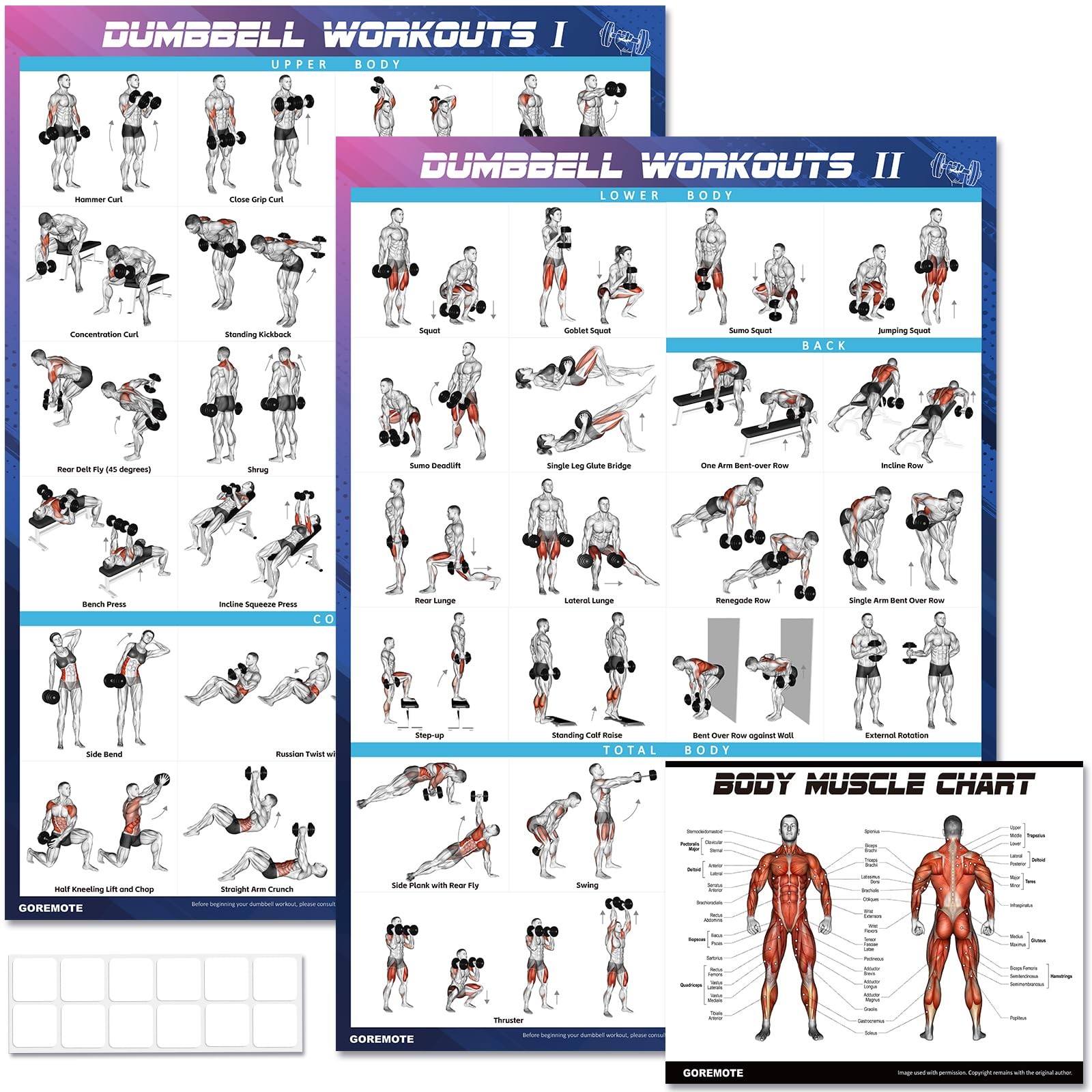 Dumbbell Workout Poster 2 Pack Vol 1 2 Home Gym Exercise Chart 18x24 Fitness DIY