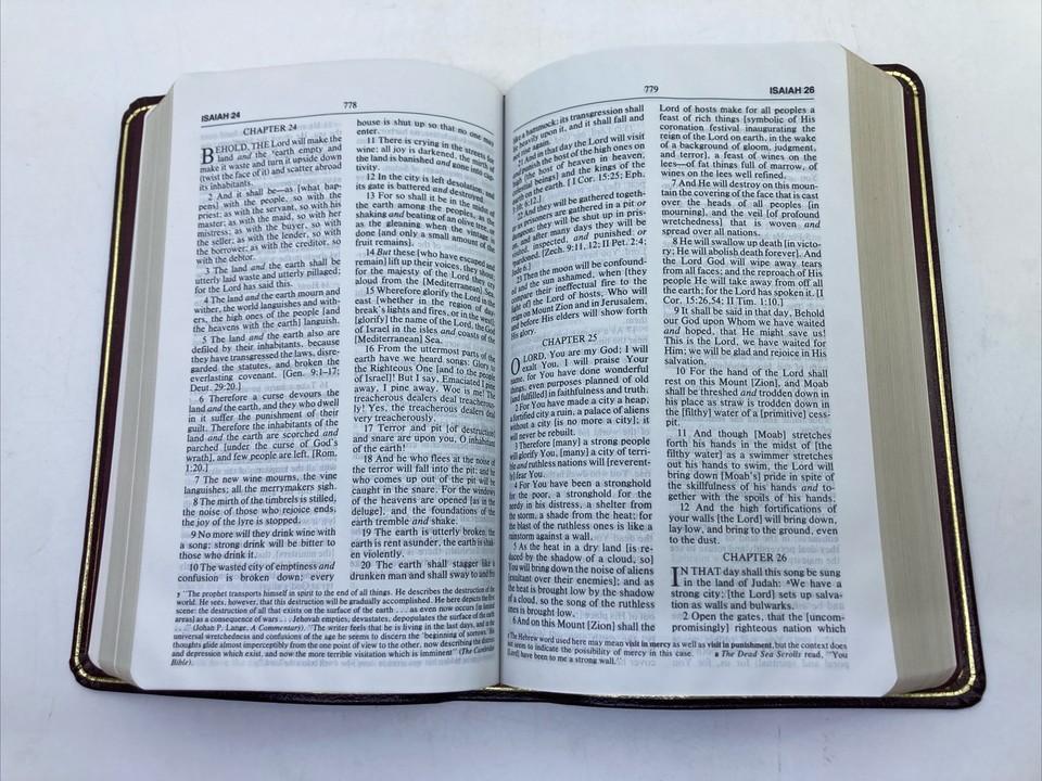 Zondervan 1987 Amplified Bible Classic AMP AMPC Burg Genuine Leather