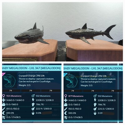 ARK ASCENDED PVE OFICIAL PAIR BABY MEGALODON BLACK ID79 TOP STATUS  PC/XBOX/PS5