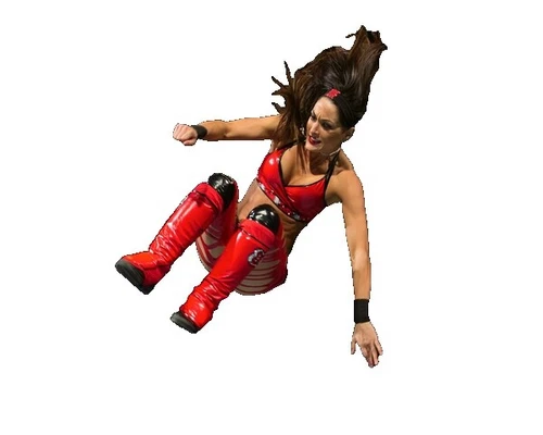 WWE Diva Brie Bella Wrestling Photos