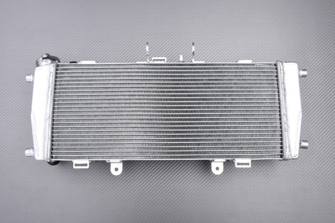 Radiateur moto BMW R 1250 RS 2019-2025 de refroidissement eau circuit