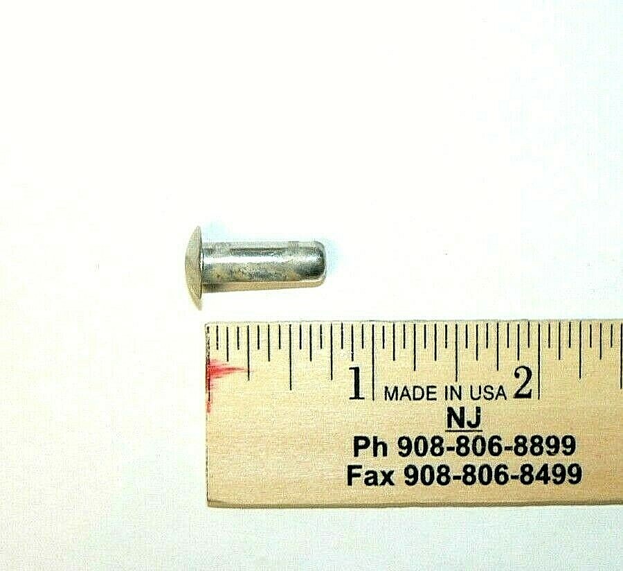 1/4" x 3/4" Modified Brazier Head Solid Aluminum Rivet 2117 T4 (Hard) 50 Pcs. eBay