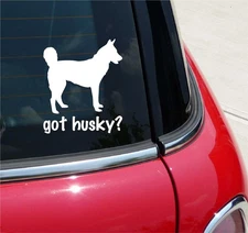 GOT HUSKY? SIBERIAN DOG GRAPHIC DECAL STICKER ART CAR WALL DECOR