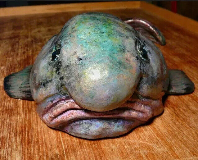 Blob Fish Reproduction Fish Taxidermy.