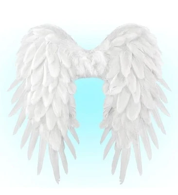 Ailes à plumes pliables 50x50cm - Photo 1/4