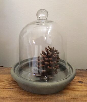 Glass Cloche Bell Jar Display Dome w/ base Farmhouse HALLOWEEN HOLIDAY Decor