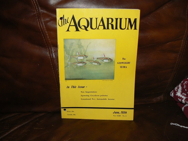 The Aquarium    by Innes Magazine June 1954 , V 23,  N 6, neat Mint Vintage