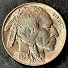 1929 Buffalo Nickel Gem BU *UNCIRCULATED*!!!