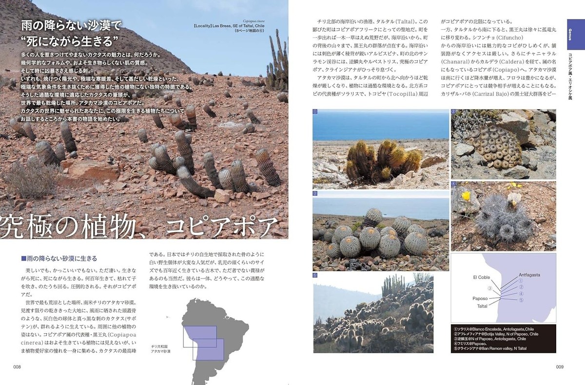 サボテン全書 All about CACTUS Cactus New Encyclopedia Book Comprehensive Guide to Cacti