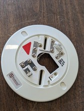 D261W