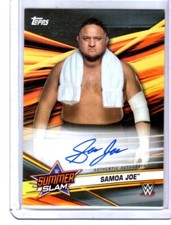 2019 Topps WWE SummerSlam Wrestling Cards 15